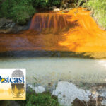 watershed-episode
